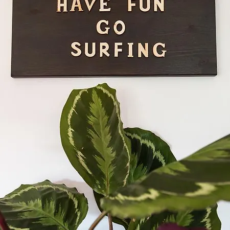 Ferrel Surf House Hostel *